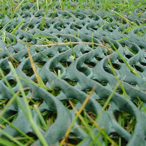 Grass Reinforcement Mesh Heavy 14 5mm 2m X 10m Grassmats