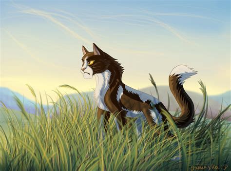 The WindClan leader by gasuaska on DeviantArt