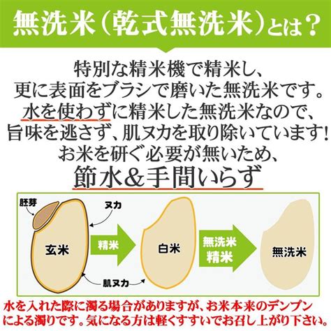 米 お米 10kg×1 ササニシキ 玄米10kg 令和5年産 山形産 白米・無洗米・分づきにお好み精米 送料無料 当日精米