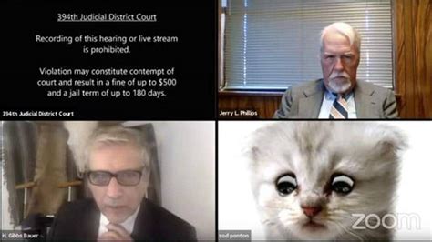 I am not a cat: US lawyer after display pic shows 'cute cat' during online court session - Watch ...