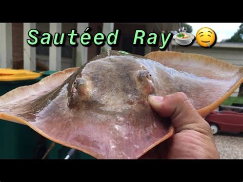 Stingray Fishing Catch Clean Cook Youtube