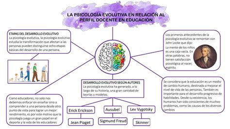 Psicología Evolutiva y Diferencial ll LAS ETAPAS DEL DESARROLLO HUMANO