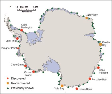 Scientists Discover New Penguin Colonies From Space Mirage News