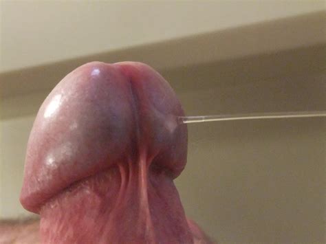 Glans Penis Close Up Bobs And Vagene