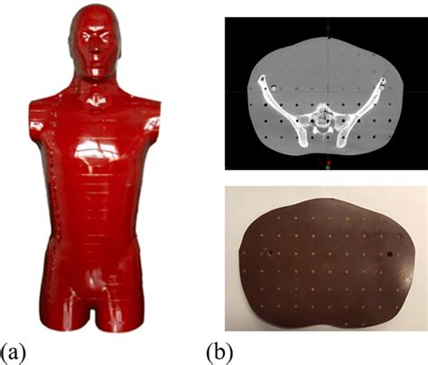 A Picture Of The Art Anthropomorphic Phantom B Picture Of The Download Scientific Diagram