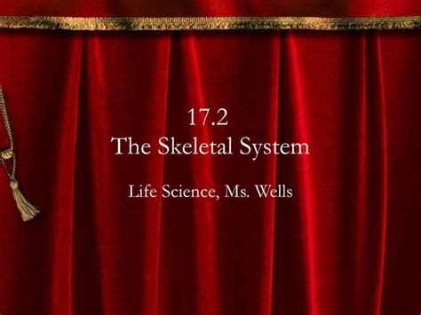 The Skeletal System Ppt