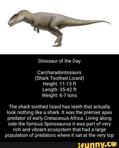 Sss Dinosaur Of The Day Carcharadontosaurs Shark Toothed Lizard