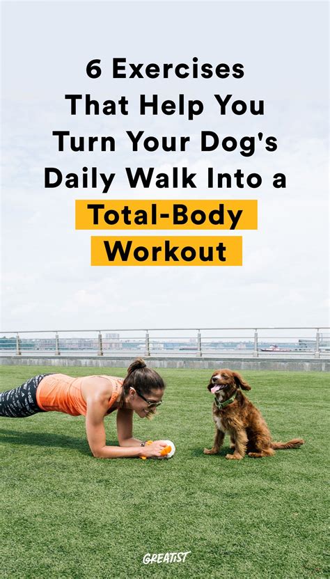 6 Exercises That Turn Your Dogs Walk Into A Total Body Workout For You