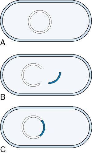 Chapter 1 Basic Pharmacology Flashcards Quizlet