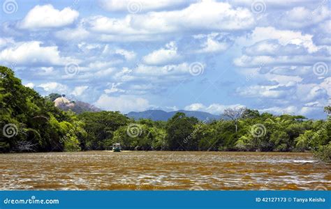 The Palo Verde National Park In Costa Rica Stock Image Image Of