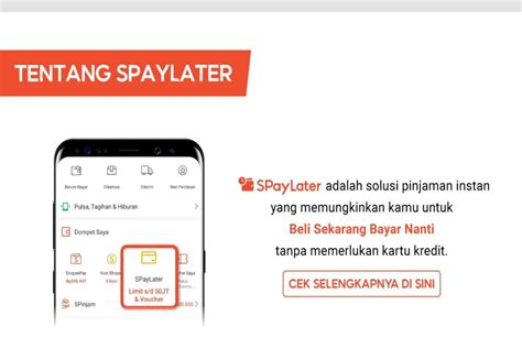 Syarat Dan Cara Menaikkan Limit Shopee Paylater Dengan Cepat