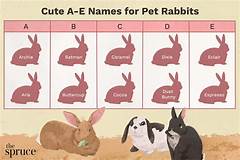 Cute Names For A Bunny Rabbit That Are Going Viral Right Now