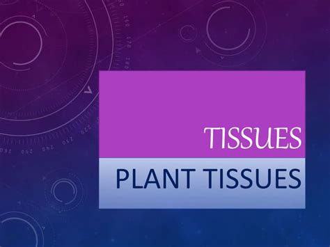 Chapter 6 Tissue Class 9th Biology Ppt