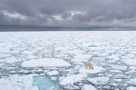 La Onu Alert Que Los Ltimos Ocho A Os Fueron Los M S C Lidos De La