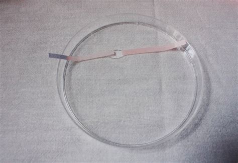 Made Up Curiosity: The Litmus Paper Experiment