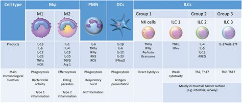 Innate Immunity in the Persistent Inflammation, Immunosuppression, and ...