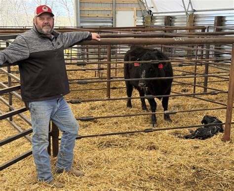 Ranchers hope Trump's tariffs boost demand for cattle but some fear