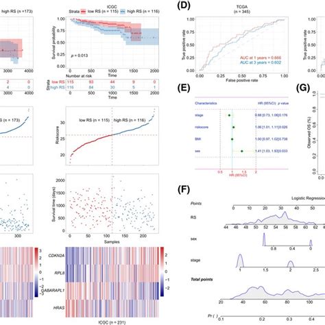 Construction Of An Rs Model And Nomogram A Km Curve Of Rs In Tcga