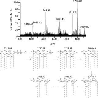 Negative Ion MALDI TOF MS Mass Spectra Of Lipid From The EptA Mutant