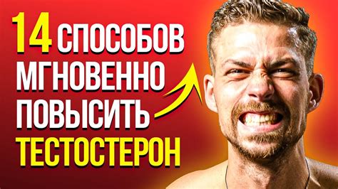 КАК повысить ТЕСТОСТЕРОН в домашних условиях? 14 СПОСОБОВ увеличения ...