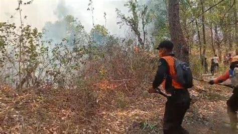 Luas Lahan Gunung Agung Yang Terbakar Capai 745 Hektare Tribun Bali