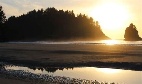 Capture The Spirit Of Makah Nation