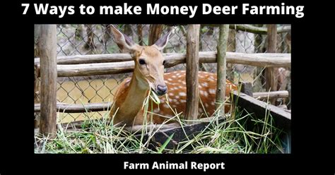 7 Ways To Make Money Deer Farming