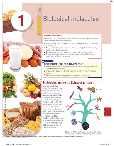 A Level Aqa Chapter 1 Biological Molecules 2 Enzymes 3 Cells