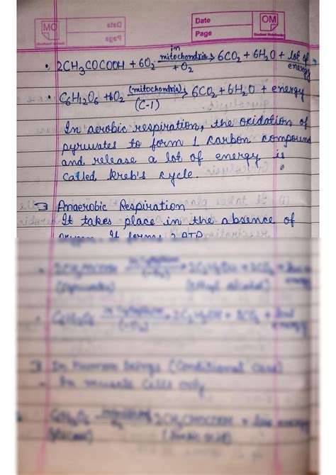 SOLUTION Class 10 Biology Chapter Life Processes Part 2 Respiration