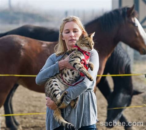 Funny Cool Pictures The Tallest Cat In The World