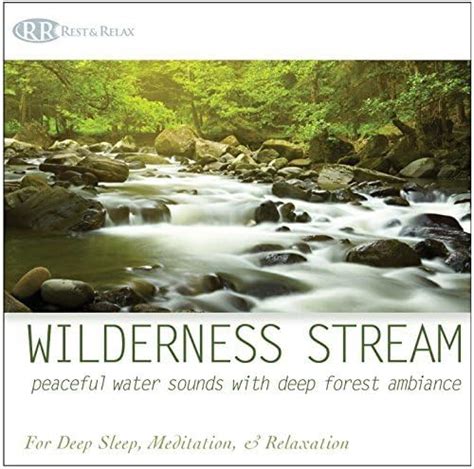 Wilderness Stream Peaceful Water Sounds With Deep Forest Ambiance