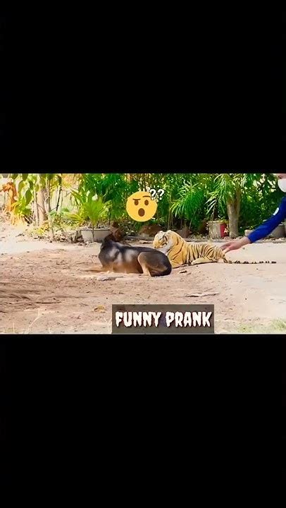 Funny Prank Vedio 😂😂🤣🤣🤣🤣🤣🤣🤣🤣🤣🤣🤣 Youtube