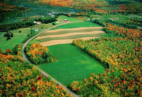 Agriculture Aerial View Of Agricultural Fields And A Farmstead