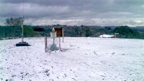 Onda De Frio Acende Luz Vermelha Para Agricultores No Sul E Sudeste