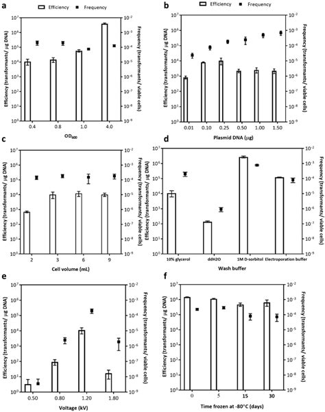 Effects Of Various Parameters On S Oneidensis Transformation Using