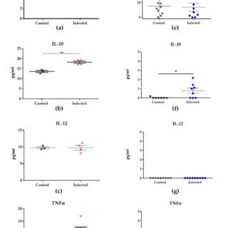 Cytokine Levels Of Murine And Human Samples A D Cytokine Levels Of