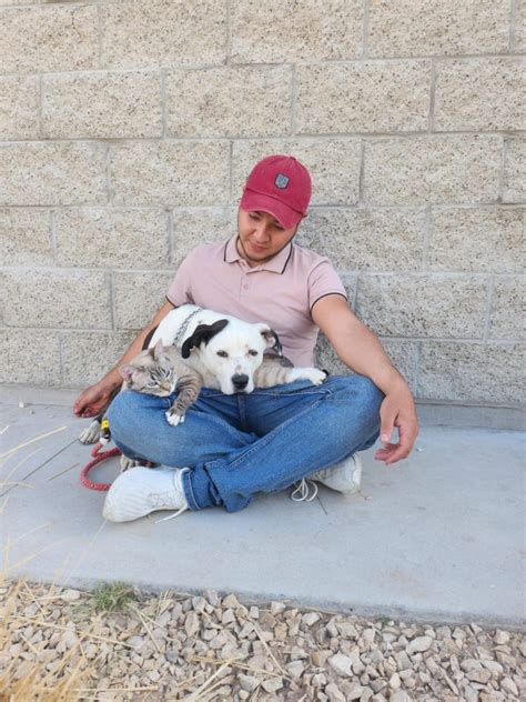 Suman Mil Mascotas Esterilizadas En Campa A Municipal Durante