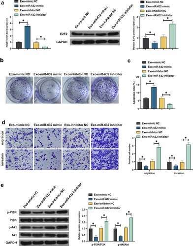 Full Article Microrna Deriving From Bone Marrow Mesenchymal Stem