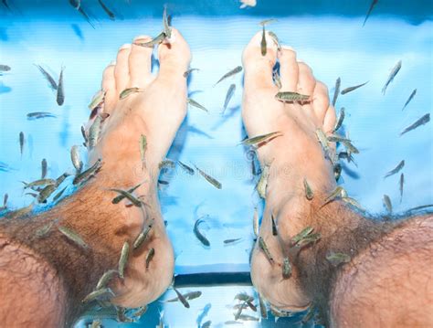 Tratamento Do Cuidado De Pele Do Pedicure Dos Pés Dos Termas Dos Peixes