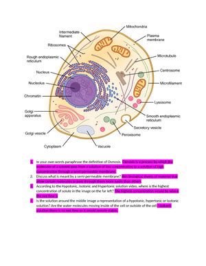 Week 2 Med Terminology 1 Unit 2 MedTerm Assignment Chap 4 8 PART