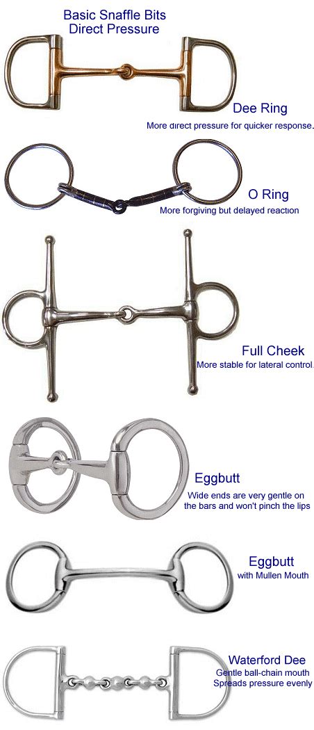 Snaffle Bit Basics Artofit