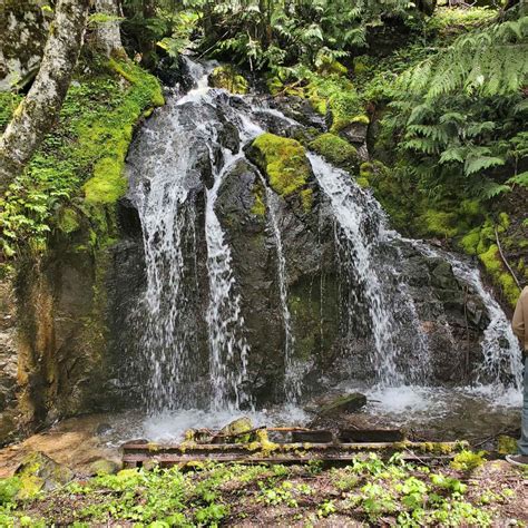 Davis Creek Trail, Washington - GPS Trail Map, Conditions & Difficulty