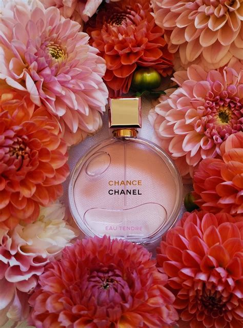 Chi Ti T H N V Chanel Tendre Eau De Parfum Cdgdbentre Edu Vn