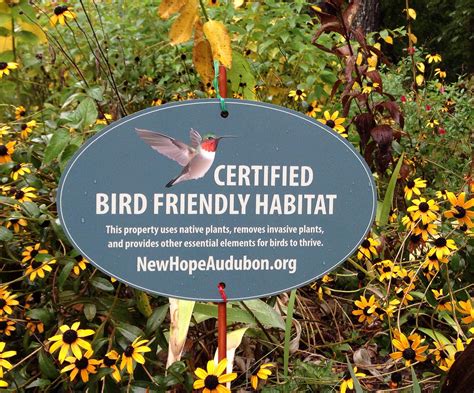 New Hope Audubon’s Guide To A Bird Friendly Backyard Audubon North Carolina