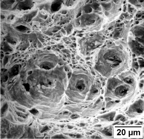 Ductile Fracture Surface