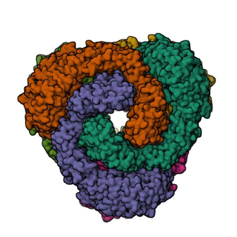 Rcsb Pdb Usp Structural And Biochemical Investigations Of A Heat