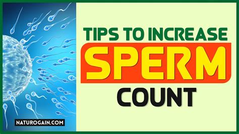 Tips To Increase Sperm Count Boost Male Fertility 🌿 Youtube