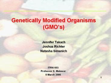 PPT Genetically Modified Organisms GMOs PowerPoint Presentation