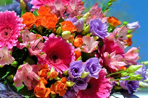 Bouquets Gerberas Alstroemeria Roses Eustoma Hd Wallpaper Rare