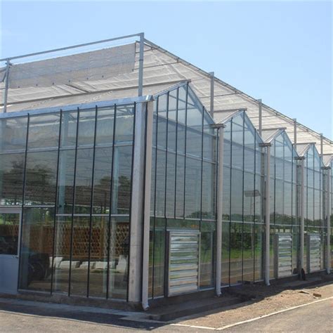 Tempered Glass Panel Venlo Type Greenhouse Multispan For Vegetables Hydroponic